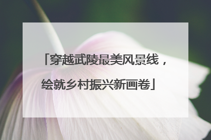 穿越武陵最美风景线，绘就乡村振兴新画卷