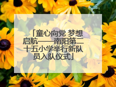 童心向党 梦想启航——南阳第二十五小学举行新队员入队仪式