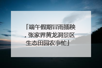 端午假期冒雨插秧，张家界黄龙洞景区生态田园农事忙