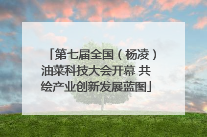 第七届全国（杨凌）油菜科技大会开幕 共绘产业创新发展蓝图