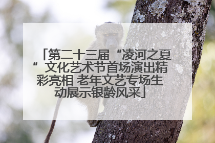 第二十三届“凌河之夏”文化艺术节首场演出精彩亮相 老年文艺专场生动展示银龄风采