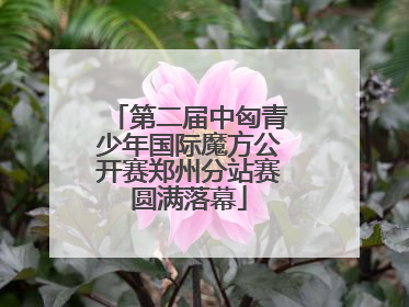 第二届中匈青少年国际魔方公开赛郑州分站赛圆满落幕