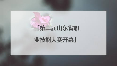 第二届山东省职业技能大赛开幕