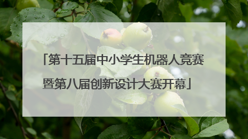第十五届中小学生机器人竞赛暨第八届创新设计大赛开幕
