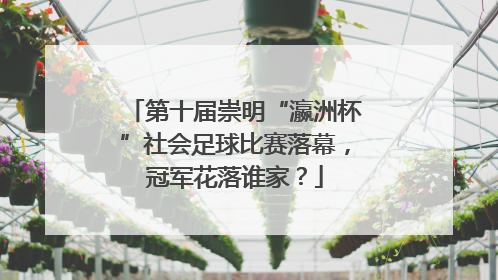 第十届崇明“瀛洲杯”社会足球比赛落幕，冠军花落谁家？