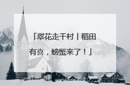 翠花走千村丨稻田有喜，螃蟹来了！