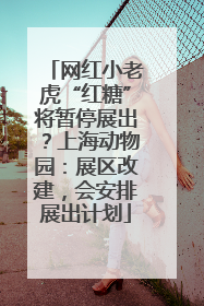 网红小老虎“红糖”将暂停展出？上海动物园：展区改建，会安排展出计划