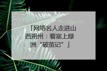 网络名人走进山西朔州：看塞上绿洲“破茧记”