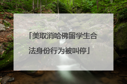 美取消哈佛留学生合法身份行为被叫停
