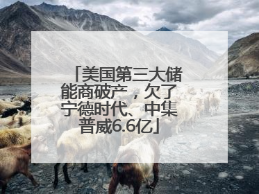 美国第三大储能商破产，欠了宁德时代、中集普威6.6亿