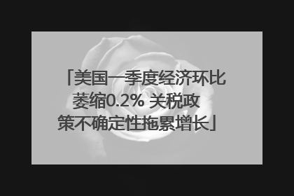 美国一季度经济环比萎缩0.2% 关税政策不确定性拖累增长