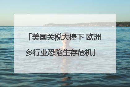 美国关税大棒下 欧洲多行业恐陷生存危机