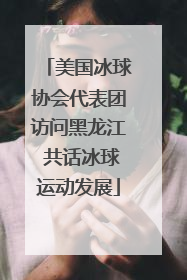 美国冰球协会代表团访问黑龙江 共话冰球运动发展