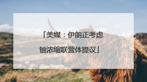 美媒：伊朗正考虑铀浓缩联营体提议