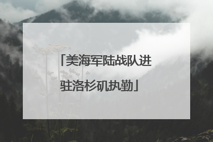美海军陆战队进驻洛杉矶执勤