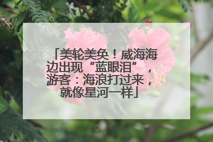 美轮美奂！威海海边出现“蓝眼泪”，游客：海浪打过来，就像星河一样