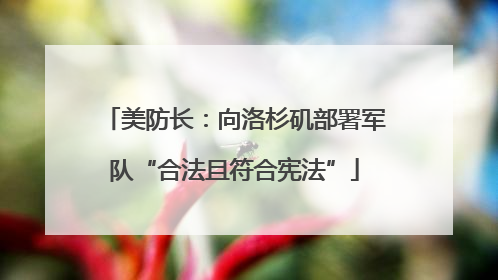 美防长：向洛杉矶部署军队“合法且符合宪法”