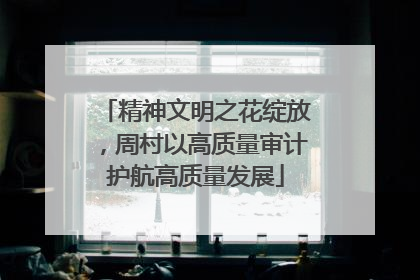 精神文明之花绽放，周村以高质量审计护航高质量发展