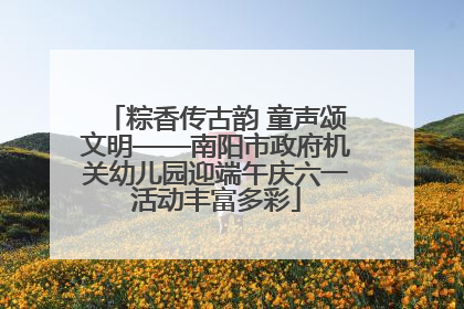 粽香传古韵 童声颂文明——南阳市政府机关幼儿园迎端午庆六一活动丰富多彩