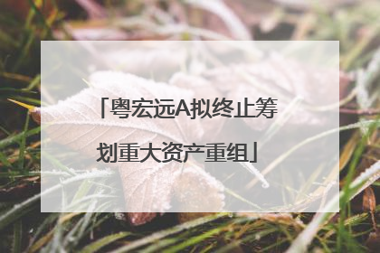 粤宏远A拟终止筹划重大资产重组
