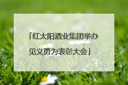 红太阳酒业集团举办见义勇为表彰大会