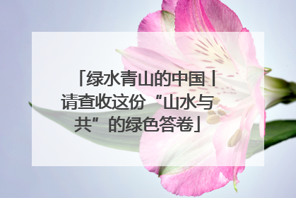 绿水青山的中国丨请查收这份“山水与共”的绿色答卷