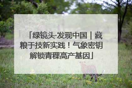 绿镜头·发现中国｜藏粮于技新实践！气象密钥解锁青稞高产基因