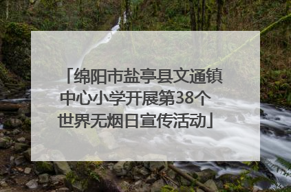 绵阳市盐亭县文通镇中心小学开展第38个世界无烟日宣传活动