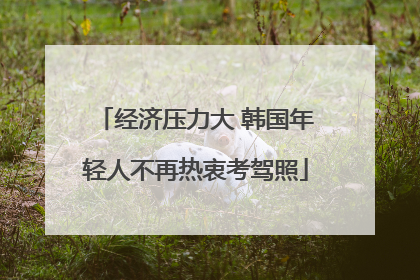 经济压力大 韩国年轻人不再热衷考驾照