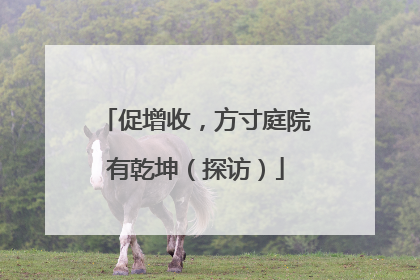 促增收，方寸庭院有乾坤（探访）