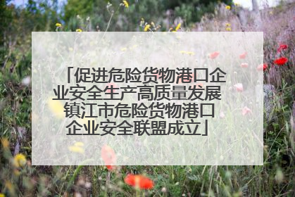 促进危险货物港口企业安全生产高质量发展 镇江市危险货物港口企业安全联盟成立