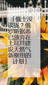 俄土没谈拢？俄罗斯据悉已放弃在土耳其建设天然气新枢纽的计划