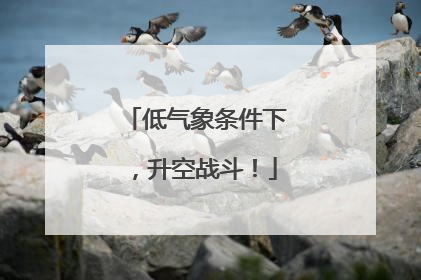 低气象条件下，升空战斗！