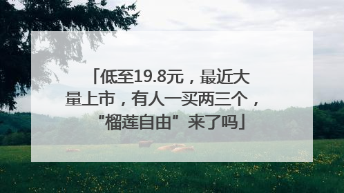 低至19.8元，最近大量上市，有人一买两三个，“榴莲自由”来了吗
