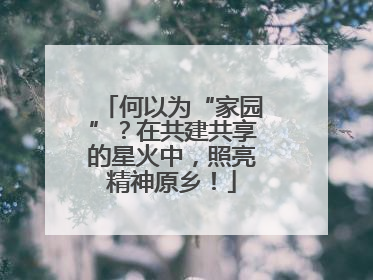 何以为“家园”？在共建共享的星火中，照亮精神原乡！