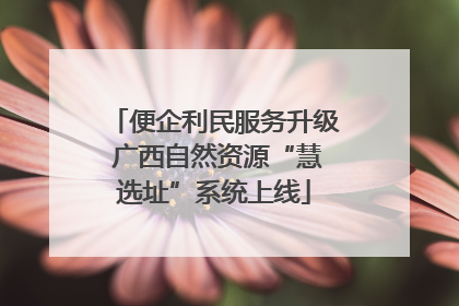 便企利民服务升级 广西自然资源“慧选址”系统上线