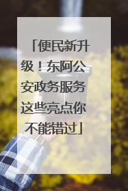 便民新升级！东阿公安政务服务这些亮点你不能错过