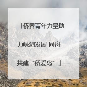 侨界青年力量助力嵊泗发展 同舟共建“侨爱岛”