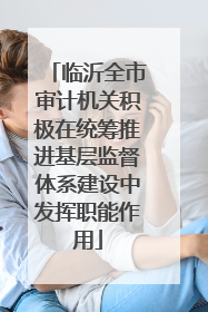 临沂全市审计机关积极在统筹推进基层监督体系建设中发挥职能作用