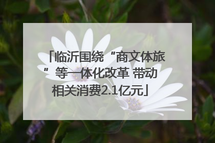 临沂围绕“商文体旅”等一体化改革 带动相关消费2.1亿元