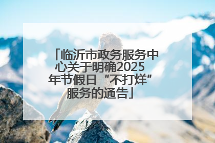 临沂市政务服务中心关于明确2025年节假日“不打烊”服务的通告