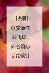 丹阳：童梦端午共飞扬，同心筑梦启新航