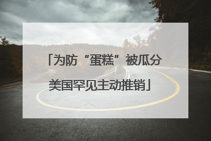 为防“蛋糕”被瓜分 美国罕见主动推销