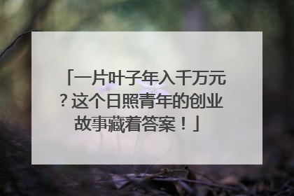 一片叶子年入千万元？这个日照青年的创业故事藏着答案！