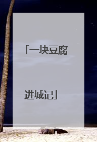 一块豆腐进城记