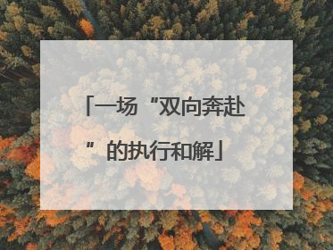 一场“双向奔赴”的执行和解