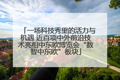 一场科技秀里的活力与机遇 近百项中外前沿技术亮相中东欧博览会“数智中东欧”板块