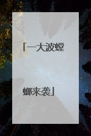 一大波螳螂来袭
