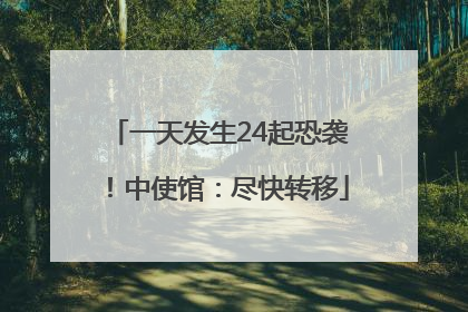 一天发生24起恐袭！中使馆：尽快转移