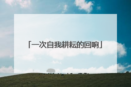 一次自我耕耘的回响